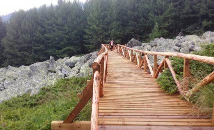 INFRA HOLDING Finishes Repair of 16 km of Tourist Paths in Vitosha Natural Park